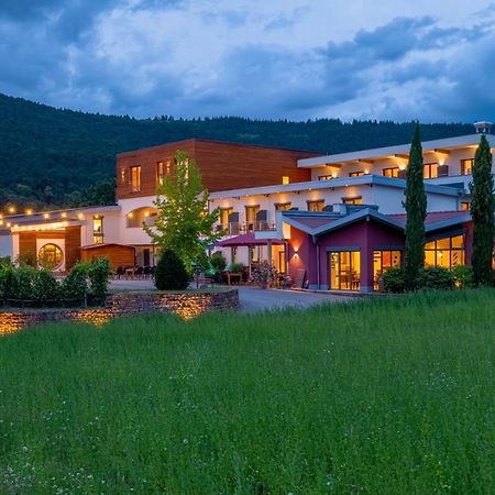 Main-Vinotel Weingut Helmstetter Buergstadt Luaran gambar